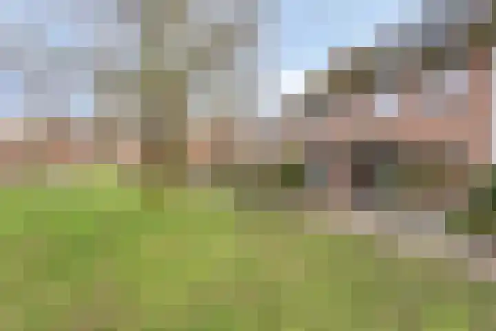 Het Karnhuis 79 Apeldoorn thumbnail 44