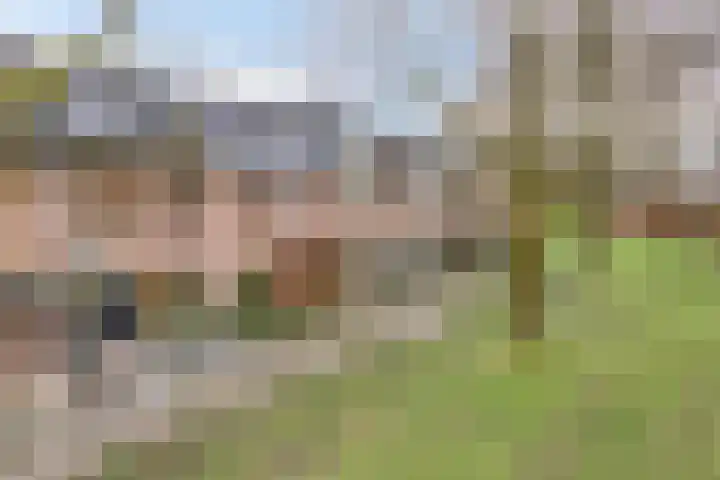 Het Karnhuis 79 Apeldoorn thumbnail 47