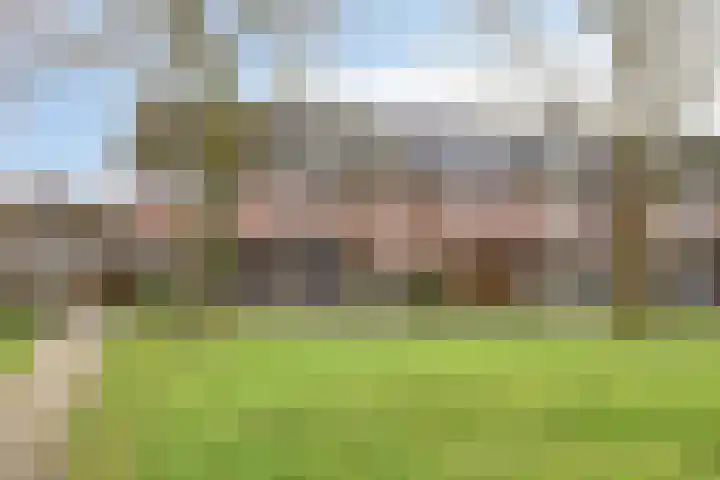 Het Karnhuis 79 Apeldoorn thumbnail 51