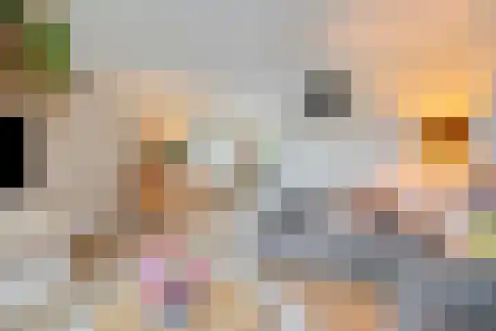 Het Karnhuis 79 Apeldoorn thumbnail 6