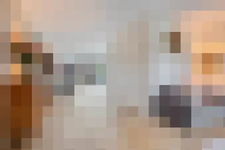 Het Karnhuis 79 Apeldoorn thumbnail 7
