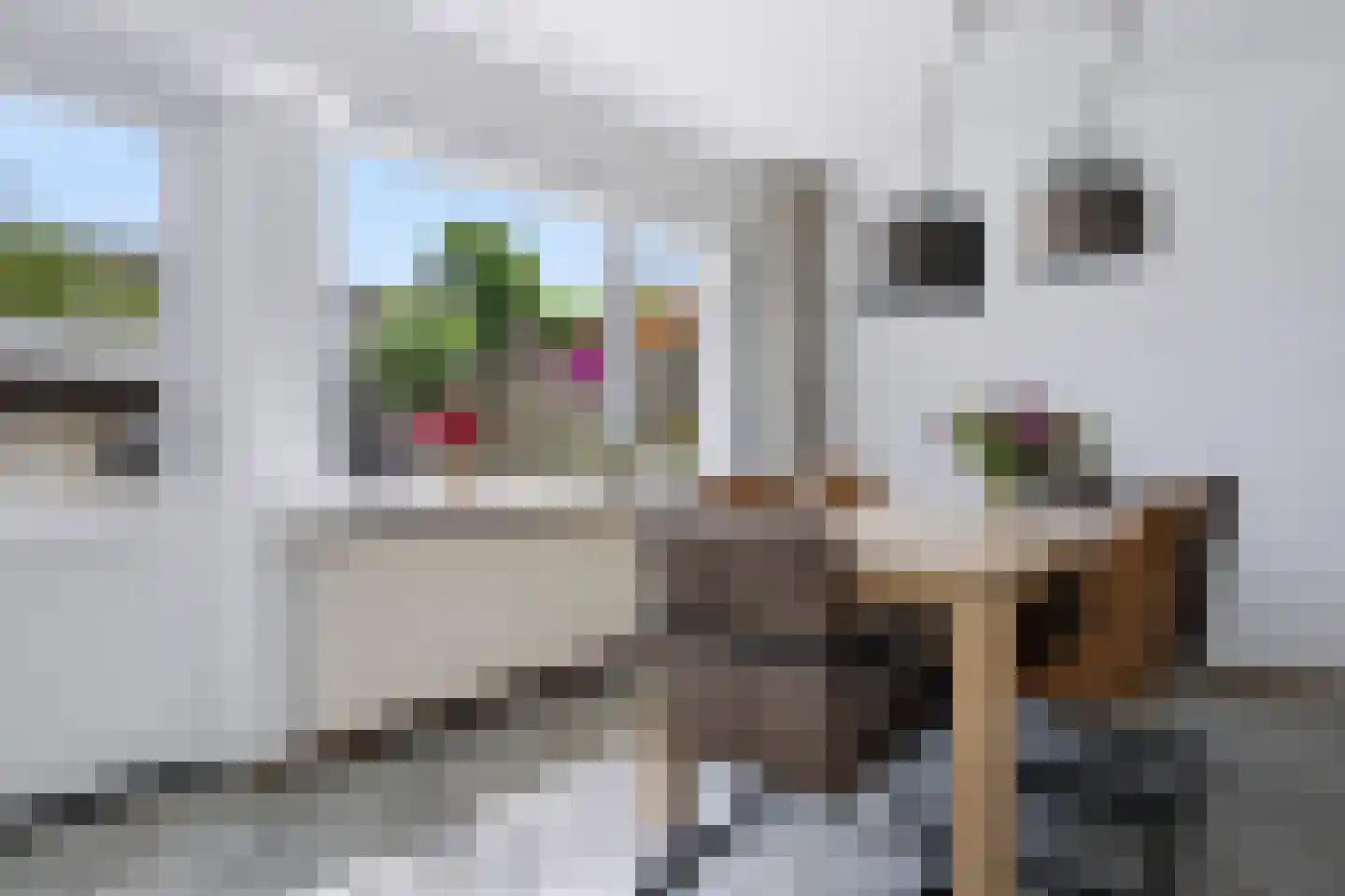 Het Karnhuis 81 Apeldoorn thumbnail 11