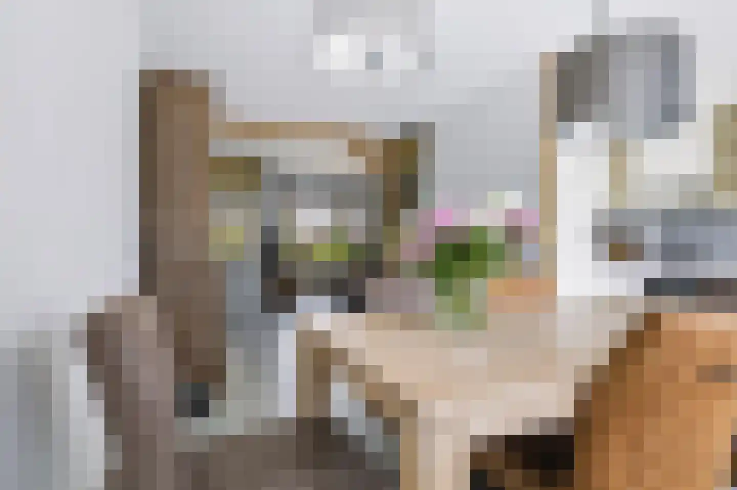 Het Karnhuis 81 Apeldoorn thumbnail 12