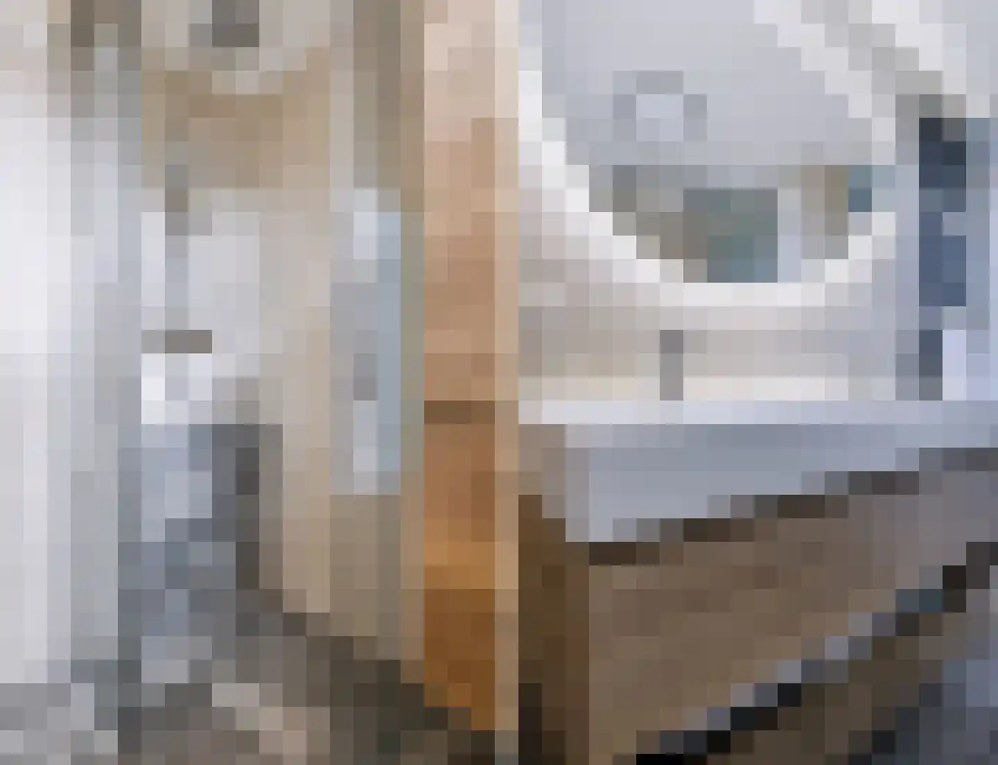 Het Karnhuis 81 Apeldoorn thumbnail 25