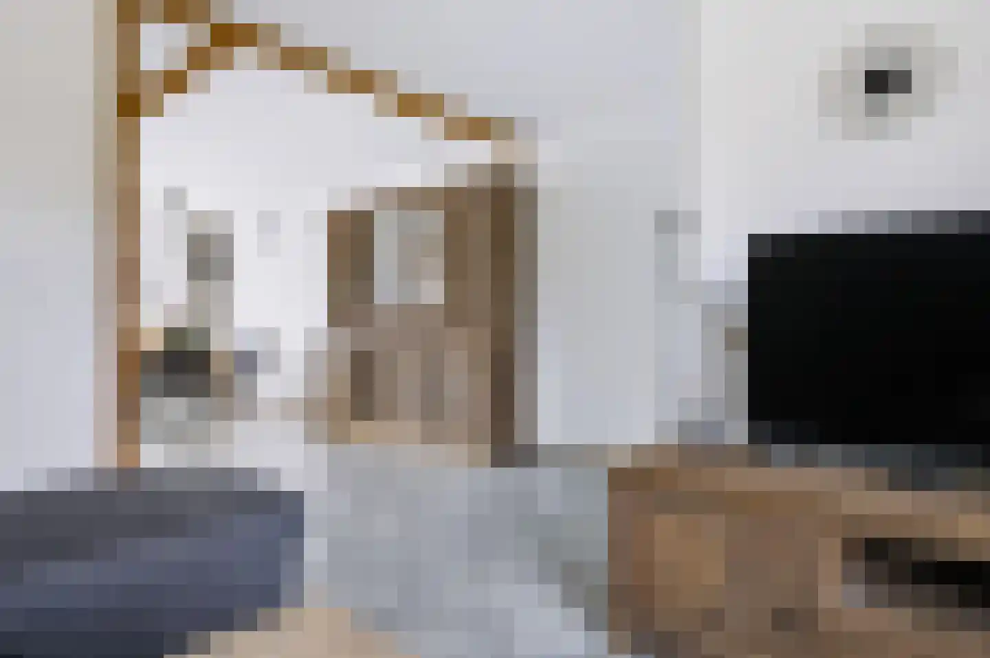 Het Karnhuis 81 Apeldoorn thumbnail 7