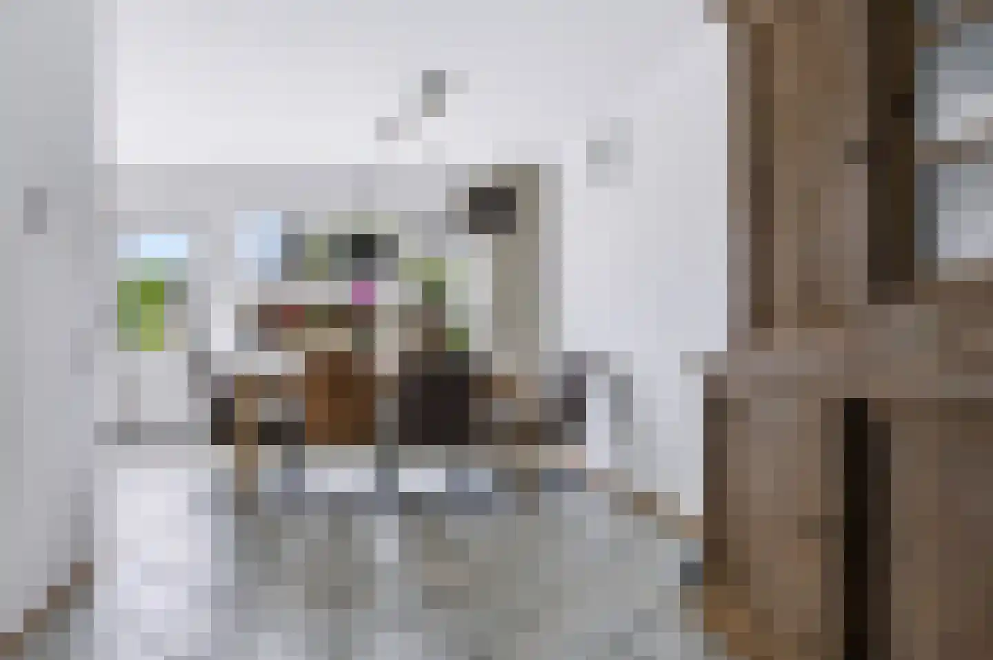 Het Karnhuis 81 Apeldoorn thumbnail 8