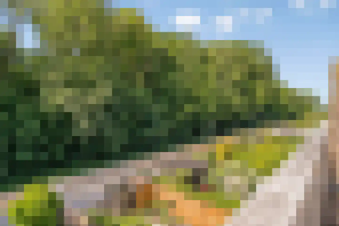 het Karveel 24 Muiden thumbnail 23