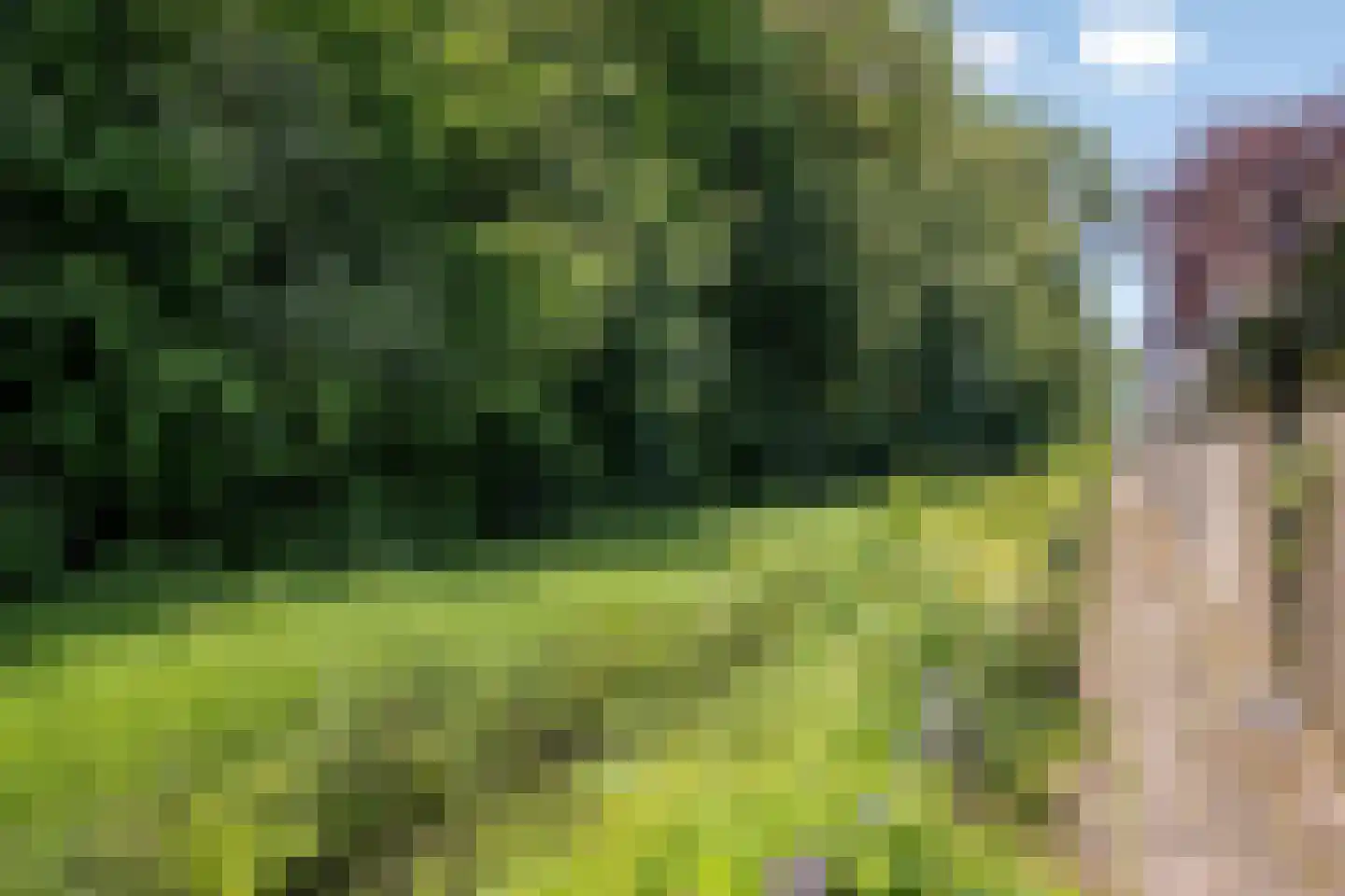 het Karveel 24 Muiden thumbnail 24