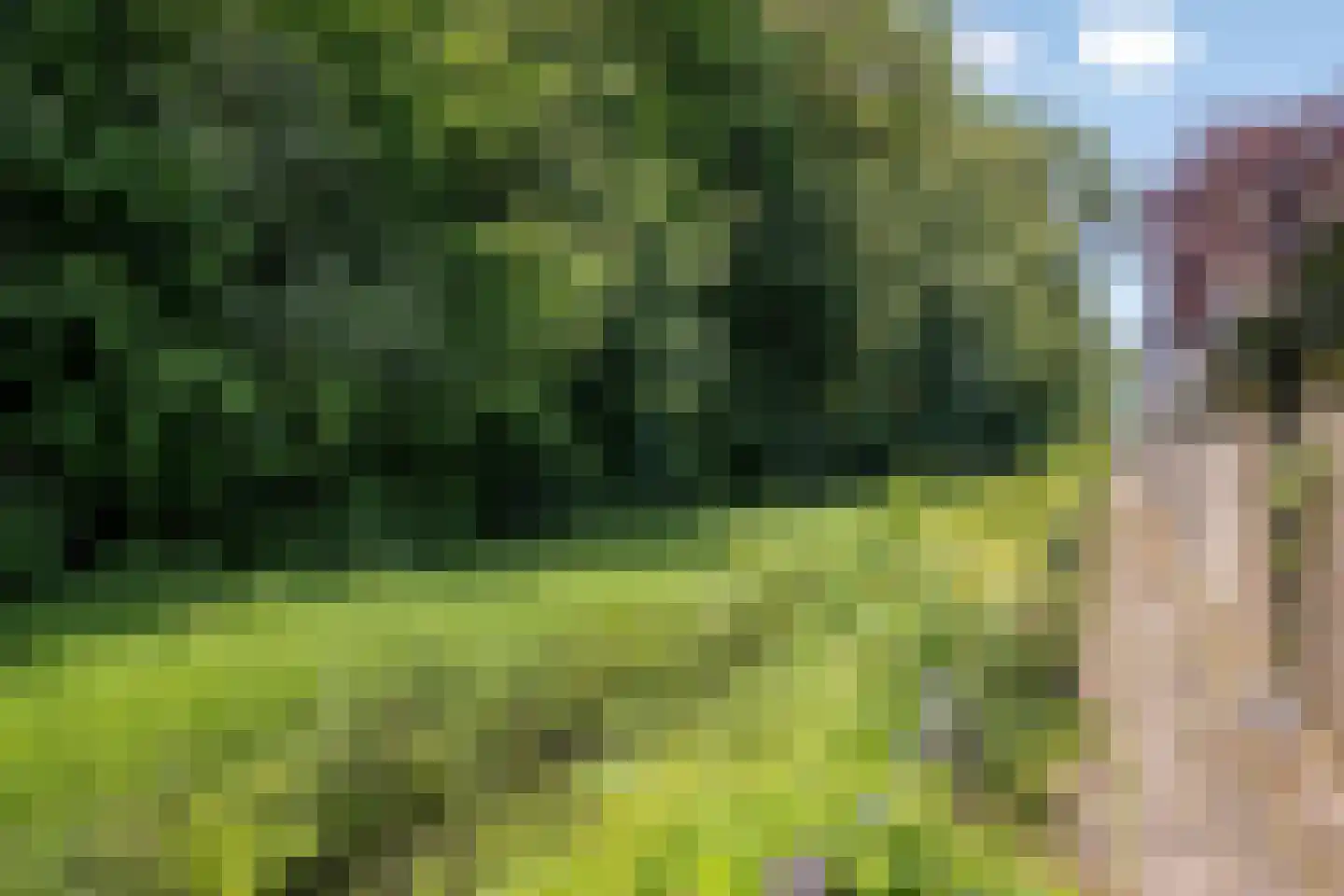 het Karveel 24 Muiden thumbnail 29