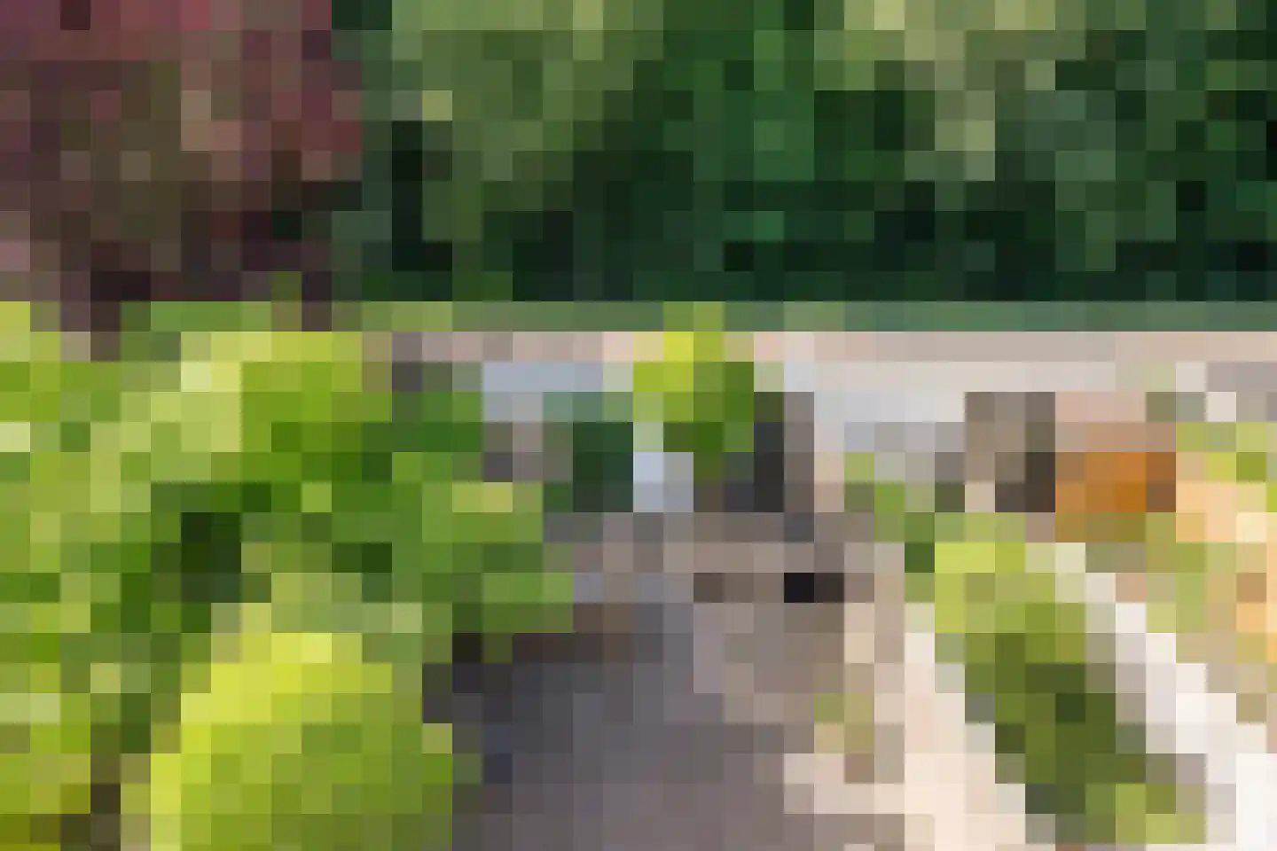 het Karveel 24 Muiden thumbnail 5