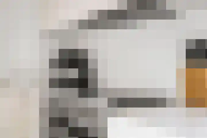 het Karveel 37 Muiden thumbnail 11