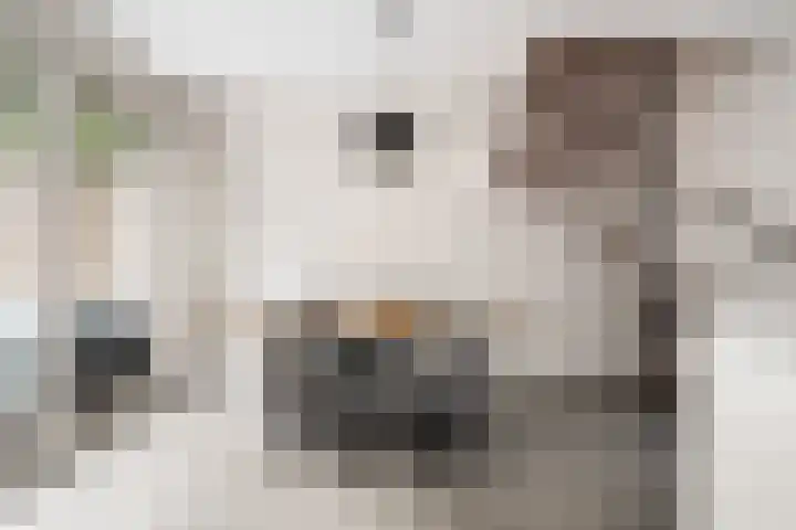 het Karveel 37 Muiden thumbnail 12