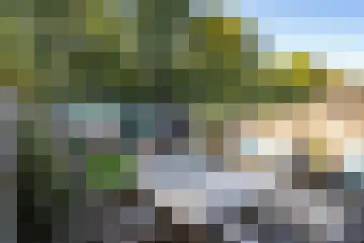 het Karveel 37 Muiden thumbnail 13