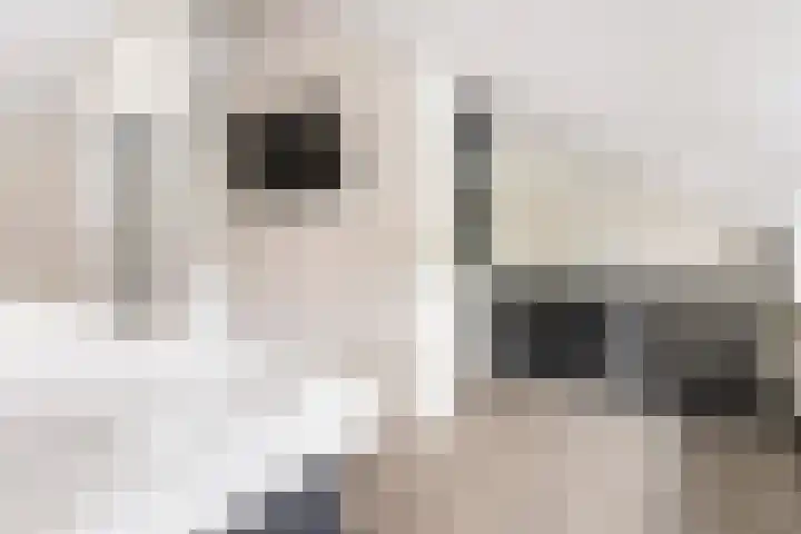 het Karveel 37 Muiden thumbnail 29