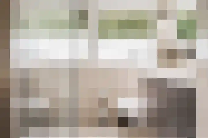 het Karveel 37 Muiden thumbnail 31