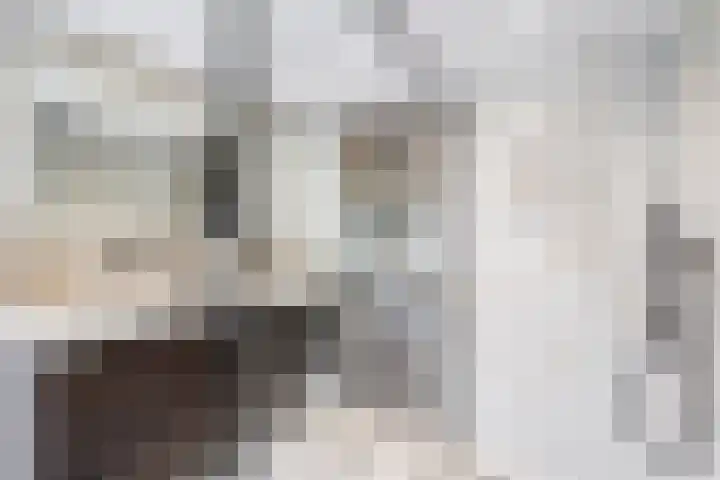 het Karveel 37 Muiden thumbnail 33