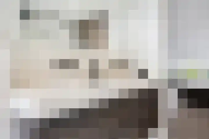 het Karveel 37 Muiden thumbnail 34