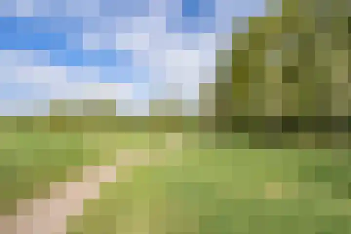 het Karveel 37 Muiden thumbnail 40