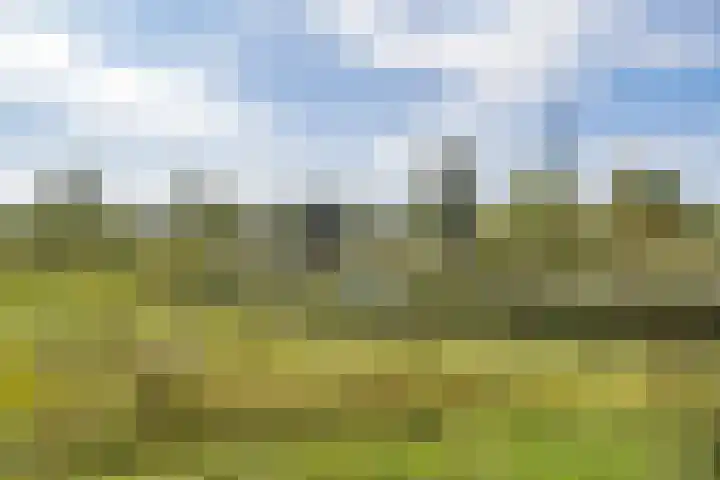 het Karveel 37 Muiden thumbnail 41