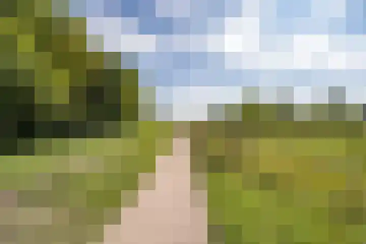 het Karveel 37 Muiden thumbnail 42