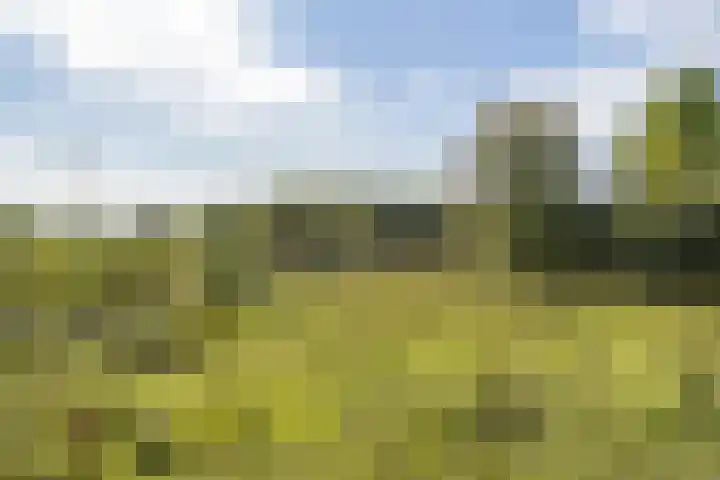 het Karveel 37 Muiden thumbnail 43