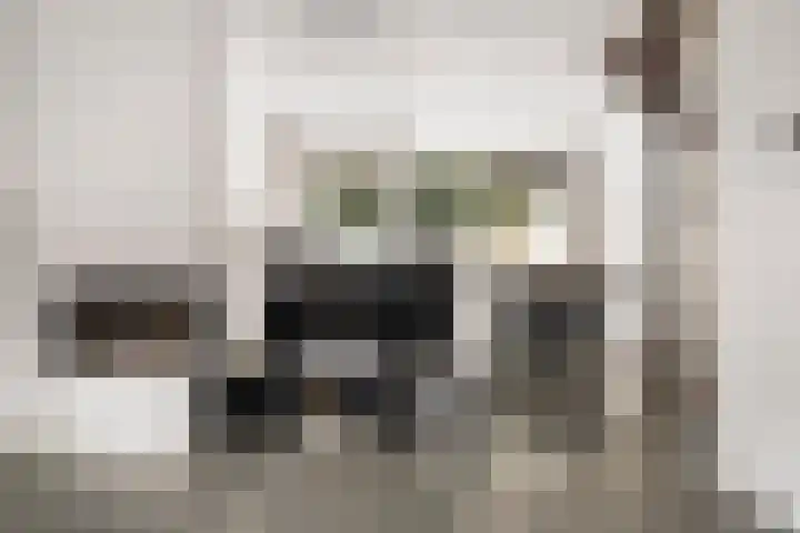 het Karveel 37 Muiden thumbnail 6
