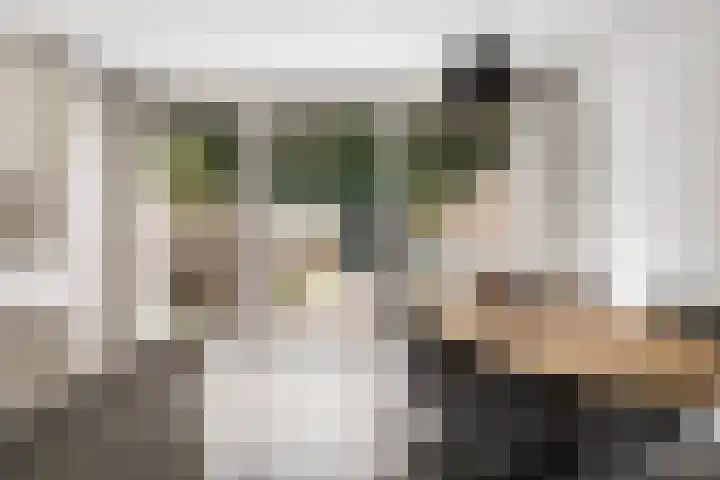 het Karveel 37 Muiden thumbnail 8