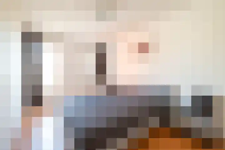 Het Kasteel 125 Apeldoorn thumbnail 22