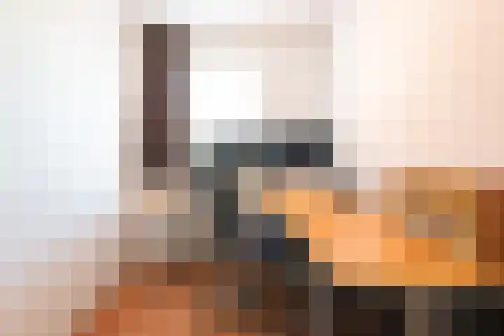 Het Kasteel 125 Apeldoorn thumbnail 26