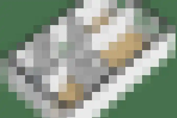 Het Kasteel 125 Apeldoorn thumbnail 33