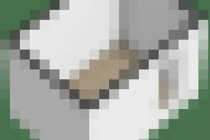 Het Kasteel 125 Apeldoorn thumbnail 36