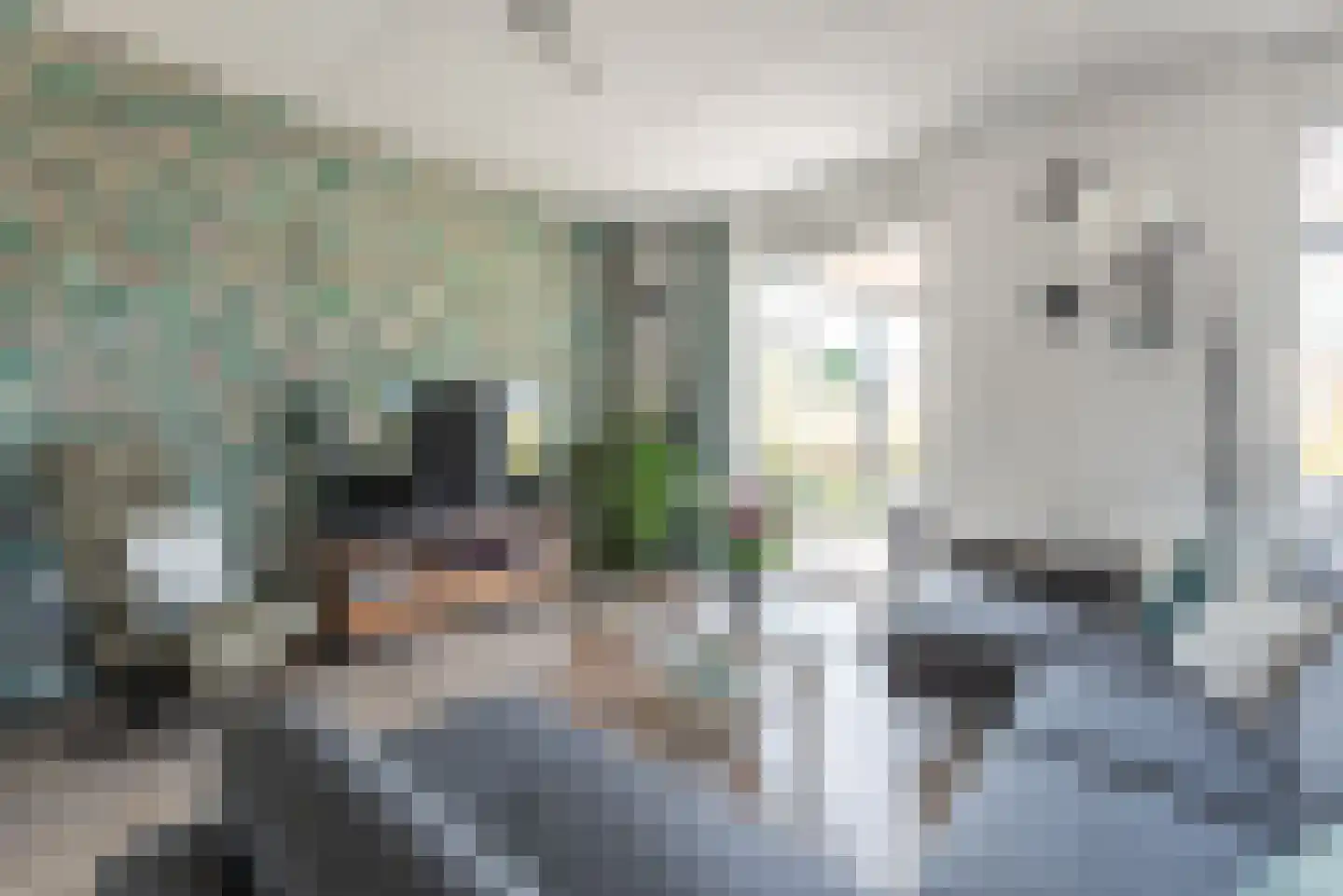 Het Kasteel 138 Apeldoorn thumbnail 14