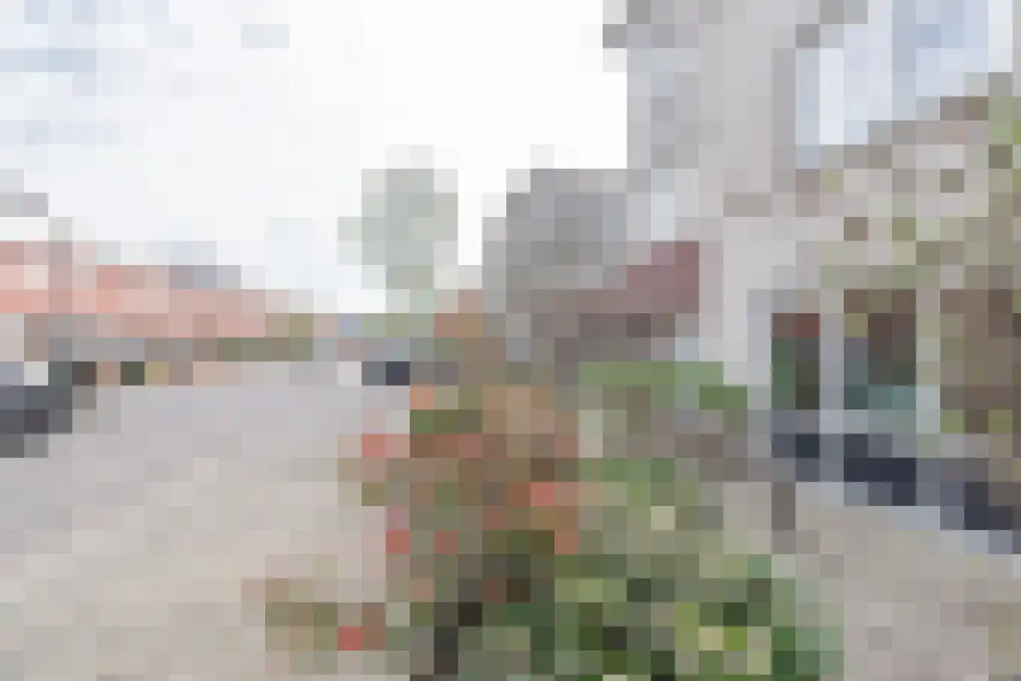 Het Kasteel 138 Apeldoorn thumbnail 54