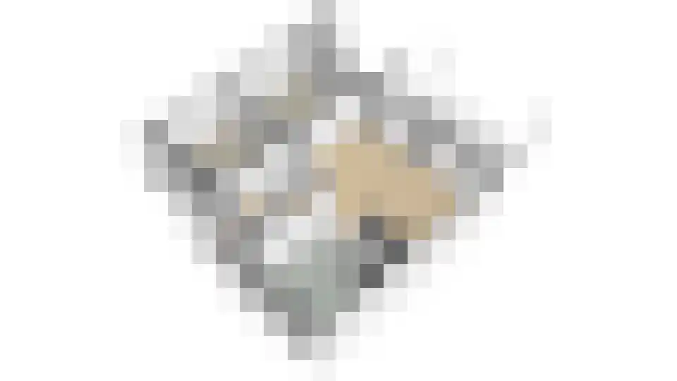 Het Kasteel 138 Apeldoorn thumbnail 56