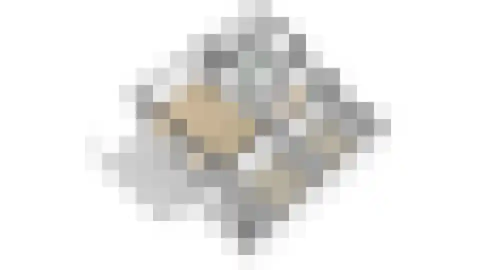 Het Kasteel 138 Apeldoorn thumbnail 57