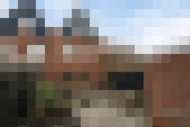 Het Kasteel 22 Apeldoorn thumbnail 13