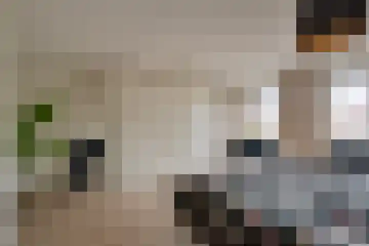 Het Kasteel 22 Apeldoorn thumbnail 19