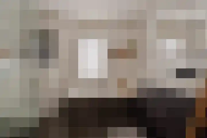 Het Kasteel 22 Apeldoorn thumbnail 21