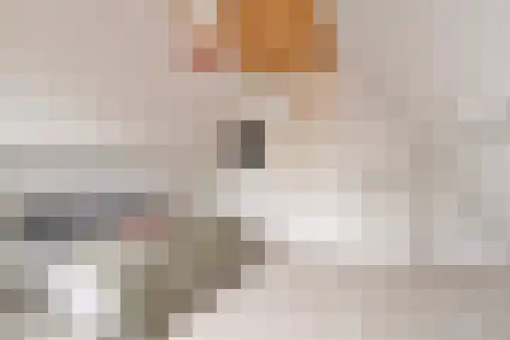 Het Kasteel 22 Apeldoorn thumbnail 26