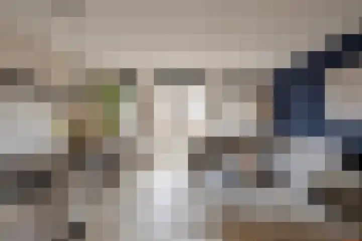 Het Kasteel 22 Apeldoorn thumbnail 6