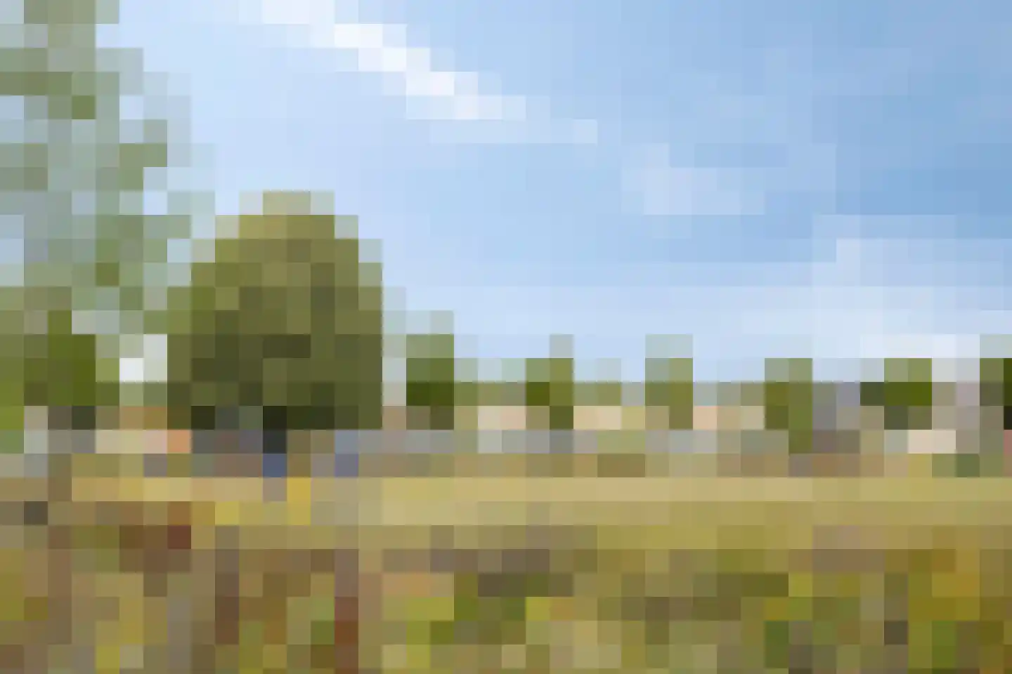 Het Kasteel 234 Apeldoorn thumbnail 33