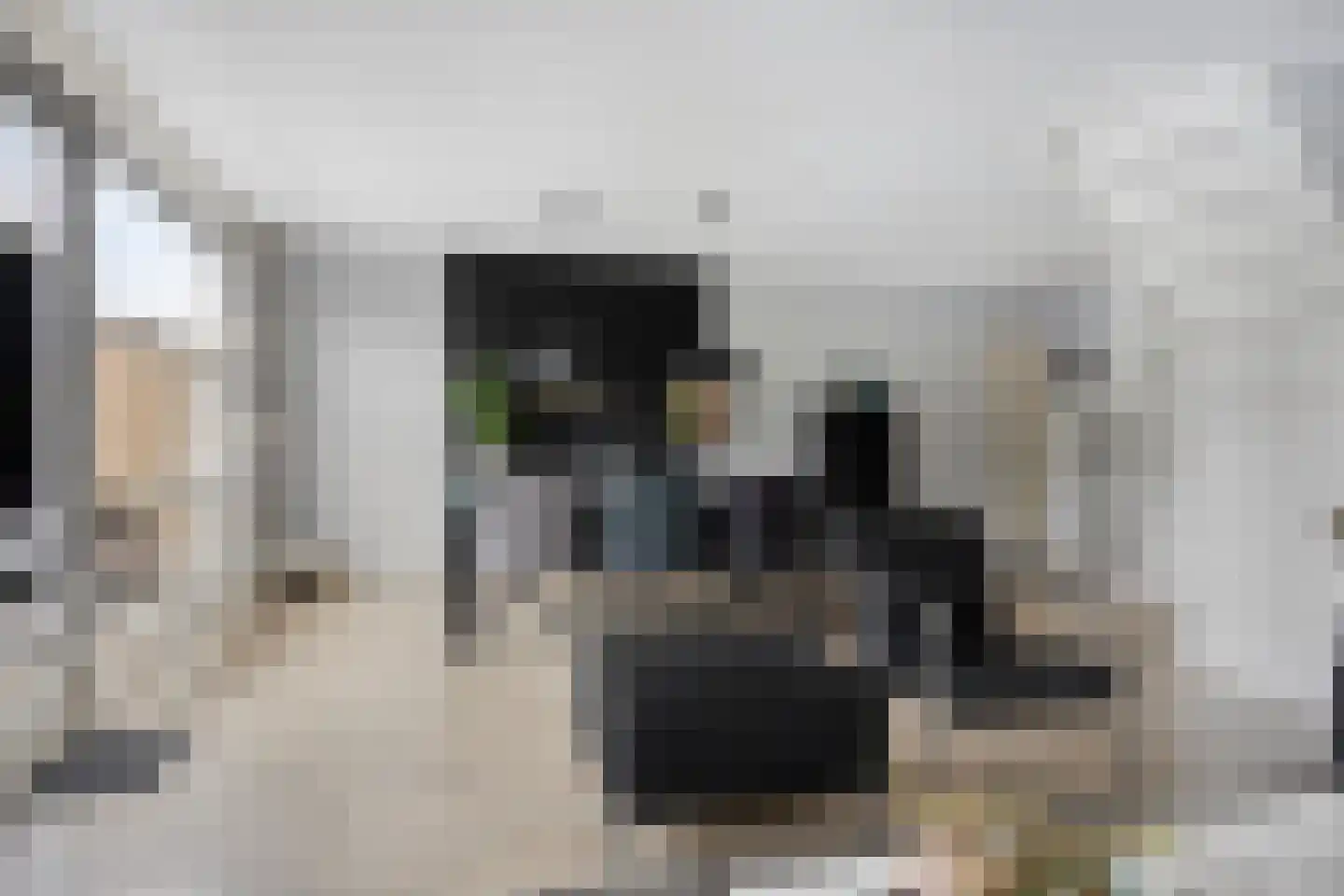 Het Kasteel 267 A Apeldoorn thumbnail 9