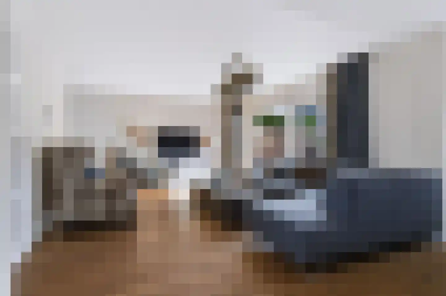 Het Kasteel 27 Apeldoorn thumbnail 8