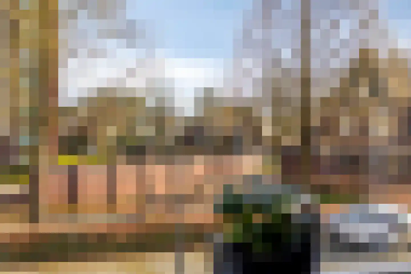 Het Kasteel 295 Apeldoorn thumbnail 28
