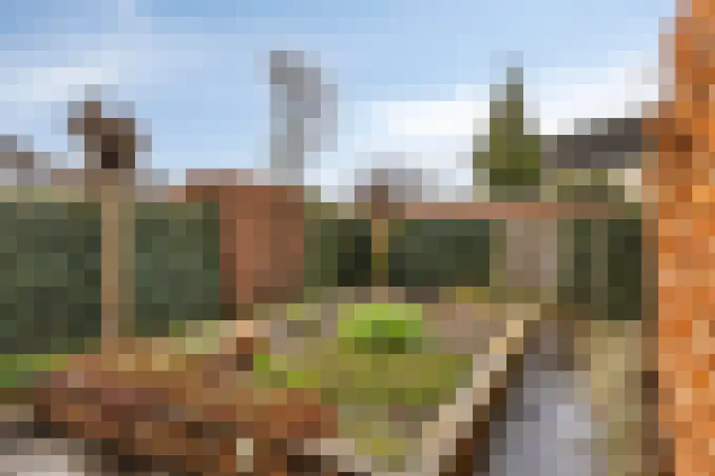 Het Kasteel 295 Apeldoorn thumbnail 29