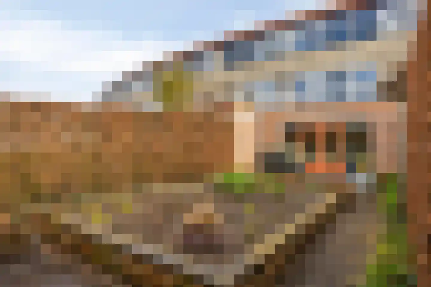 Het Kasteel 295 Apeldoorn thumbnail 32