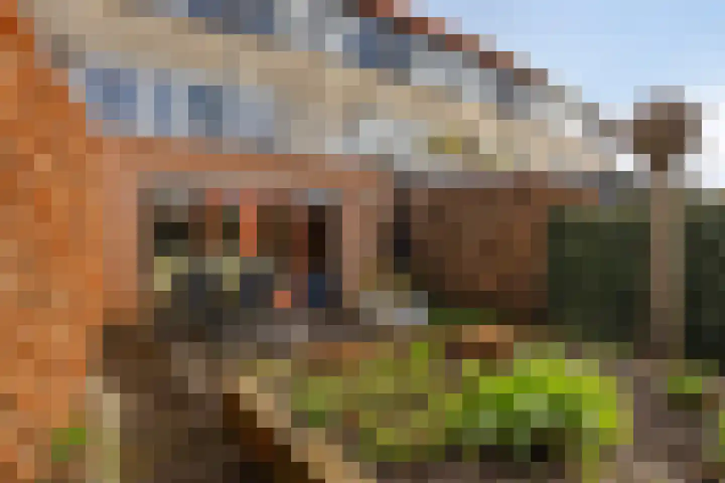 Het Kasteel 295 Apeldoorn thumbnail 35
