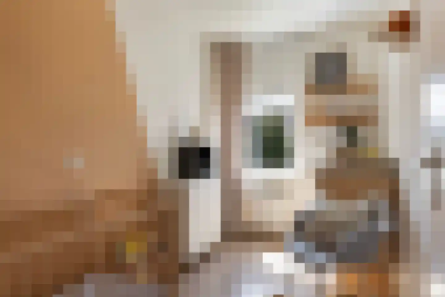 Het Kasteel 317 Apeldoorn thumbnail 22