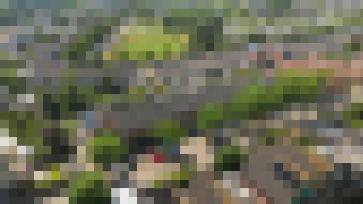 Het Kasteel 317 Apeldoorn thumbnail 32