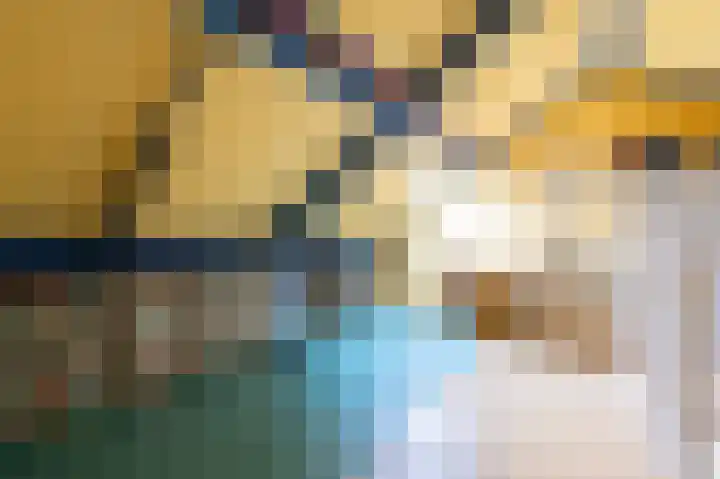 Het Kasteel 321 Apeldoorn thumbnail 23